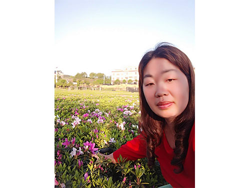 杜鹃花2